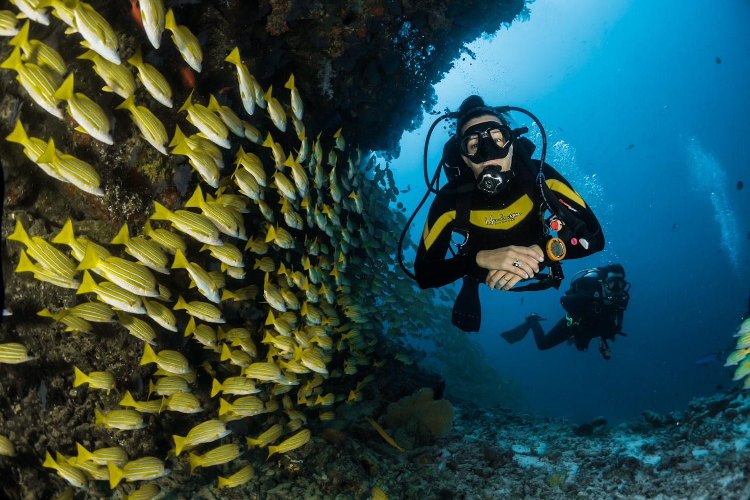 How to Plan a Perfect Diving Trip Down Under