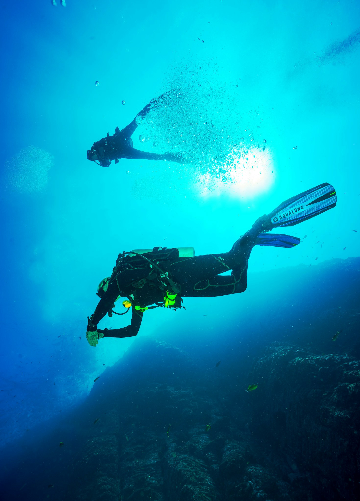 Essential Gear for Your Australian Dive Adventure
