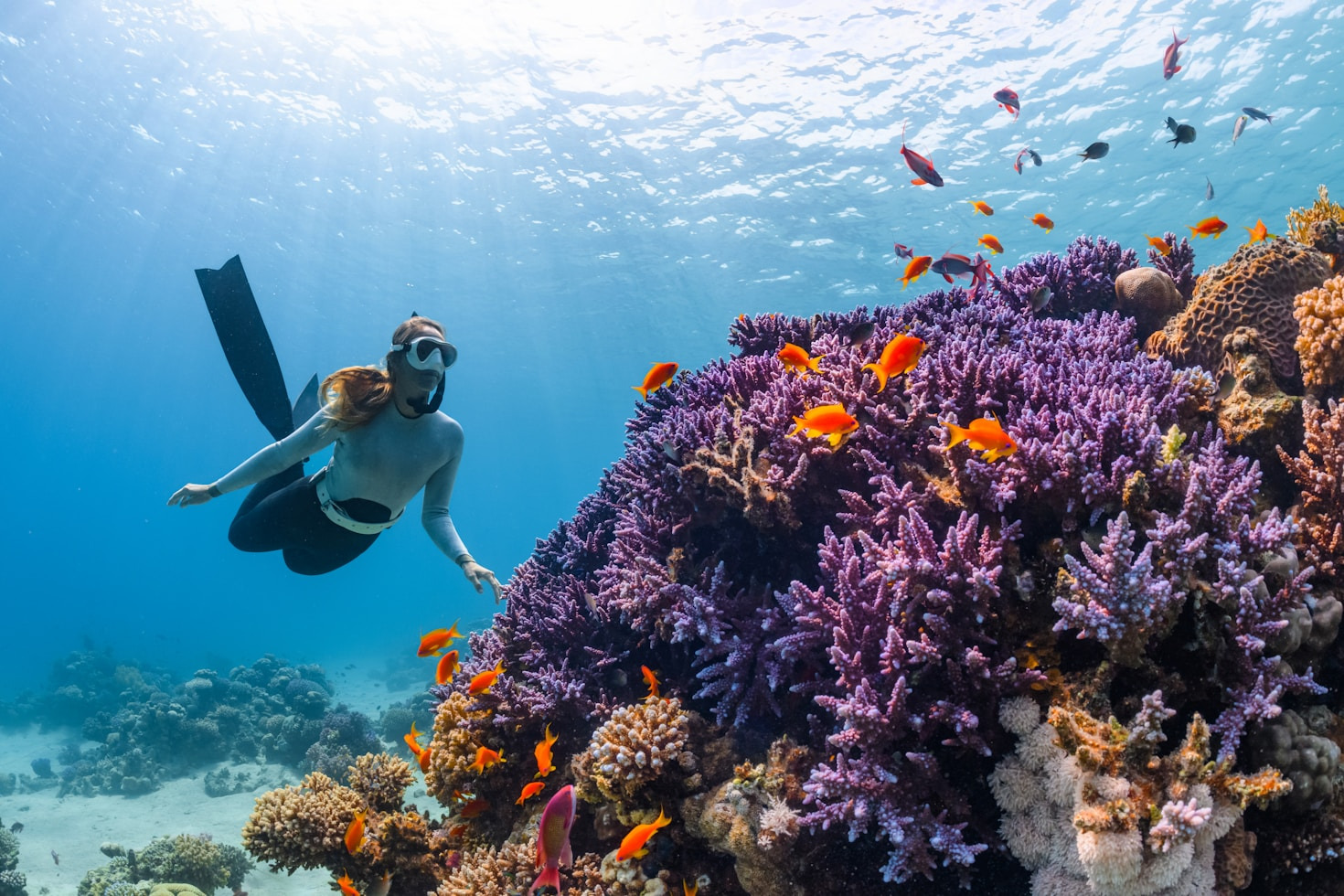 Stories from the Depths: Australian Diving Tales